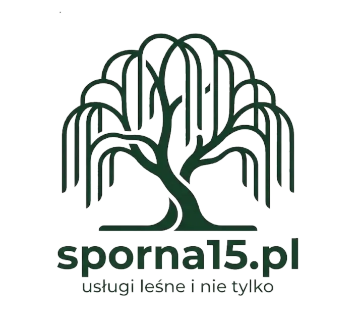 Logo sporna15.pl